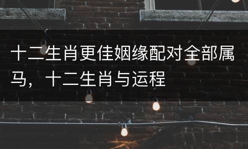 十二生肖更佳姻缘配对全部属马，十二生肖与运程