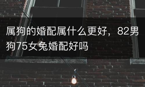 属狗的婚配属什么更好，82男狗75女兔婚配好吗