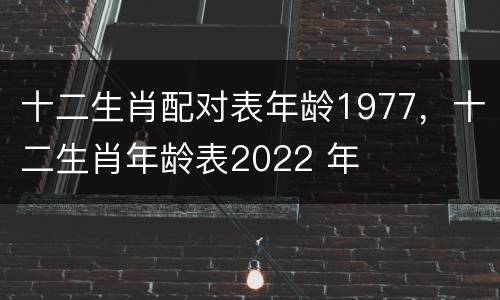 十二生肖配对表年龄1977，十二生肖年龄表2022 年