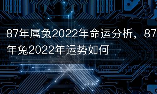 87年属兔2022年命运分析，87年兔2022年运势如何
