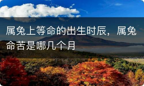 属兔上等命的出生时辰，属兔命苦是哪几个月