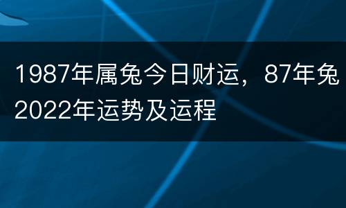 1987年属兔今日财运，87年兔2022年运势及运程