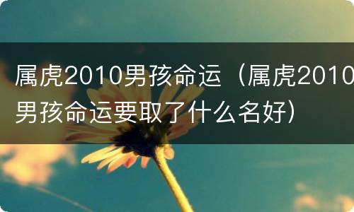 属虎2010男孩命运（属虎2010男孩命运要取了什么名好）