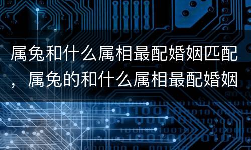 属兔和什么属相最配婚姻匹配，属兔的和什么属相最配婚姻
