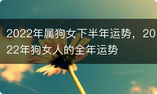 2022年属狗女下半年运势，2022年狗女人的全年运势