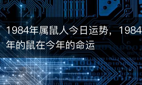 1984年属鼠人今日运势，1984年的鼠在今年的命运