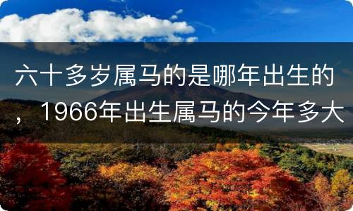 六十多岁属马的是哪年出生的，1966年出生属马的今年多大了