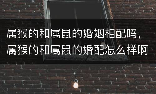 属猴的和属鼠的婚姻相配吗，属猴的和属鼠的婚配怎么样啊