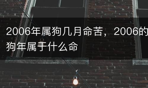 2006年属狗几月命苦，2006的狗年属于什么命