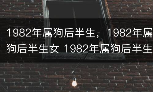 1982年属狗后半生，1982年属狗后半生女 1982年属狗后半生命这么好
