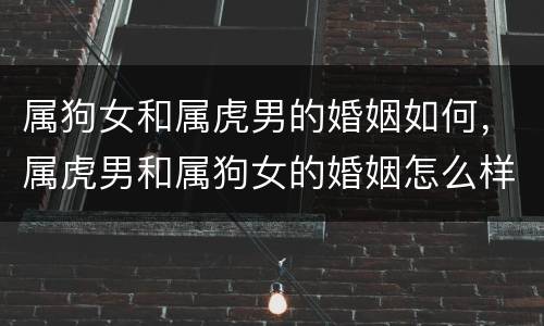 属狗女和属虎男的婚姻如何，属虎男和属狗女的婚姻怎么样