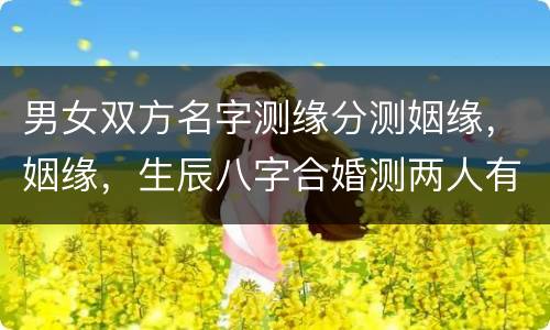 男女双方名字测缘分测姻缘，姻缘，生辰八字合婚测两人有没有夫妻缘分