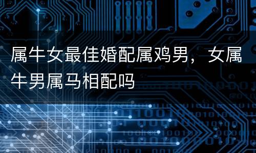 属牛女最佳婚配属鸡男，女属牛男属马相配吗