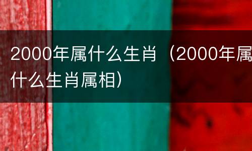 2000年属什么生肖（2000年属什么生肖属相）
