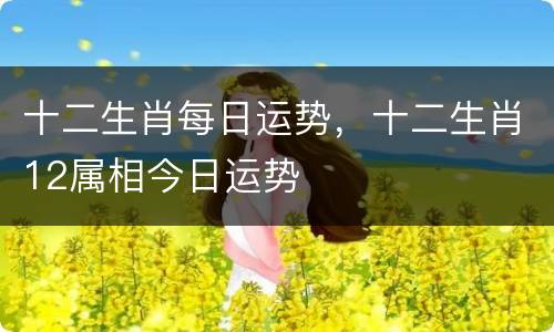 十二生肖每日运势，十二生肖12属相今日运势