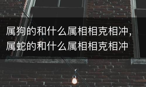 属狗的和什么属相相克相冲，属蛇的和什么属相相克相冲