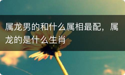 属龙男的和什么属相最配，属龙的是什么生肖