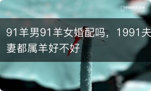 91羊男91羊女婚配吗，1991夫妻都属羊好不好