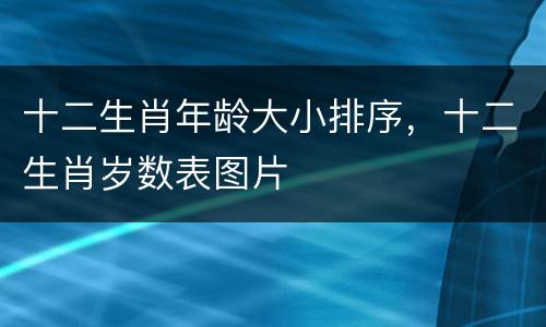 十二生肖年龄大小排序，十二生肖岁数表图片