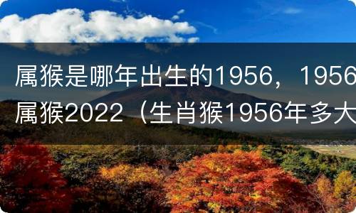 属猴是哪年出生的1956，1956属猴2022（生肖猴1956年多大）