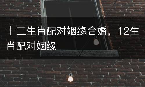 十二生肖配对姻缘合婚，12生肖配对姻缘