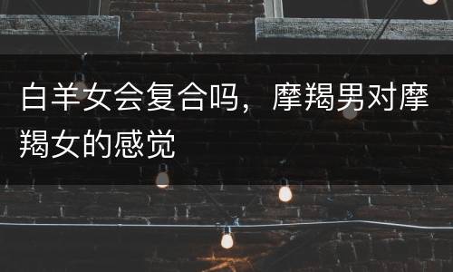 白羊女会复合吗，摩羯男对摩羯女的感觉