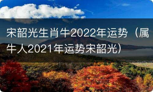 宋韶光生肖牛2022年运势（属牛人2021年运势宋韶光）