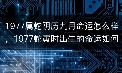 1977属蛇阴历九月命运怎么样，1977蛇寅时出生的命运如何