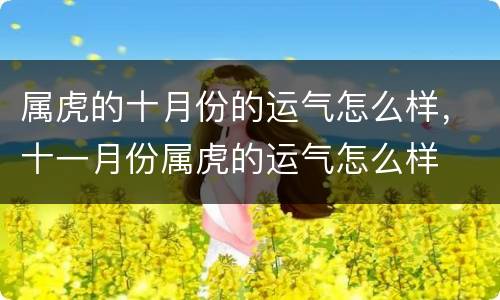 属虎的十月份的运气怎么样，十一月份属虎的运气怎么样