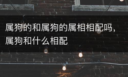 属狗的和属狗的属相相配吗，属狗和什么相配