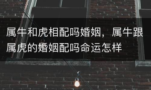属牛和虎相配吗婚姻，属牛跟属虎的婚姻配吗命运怎样