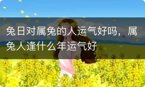 兔日对属兔的人运气好吗，属兔人逢什么年运气好