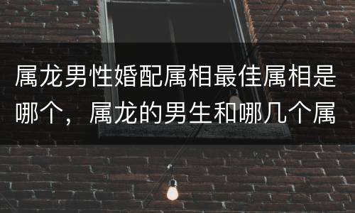 属龙男性婚配属相最佳属相是哪个，属龙的男生和哪几个属相婚姻是最好的？