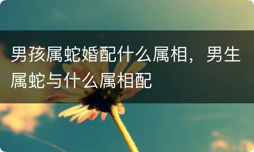 男孩属蛇婚配什么属相，男生属蛇与什么属相配