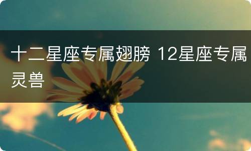 十二星座专属翅膀 12星座专属灵兽