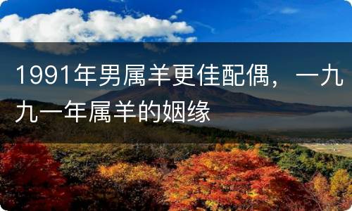 1991年男属羊更佳配偶，一九九一年属羊的姻缘
