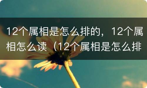 12个属相是怎么排的，12个属相怎么读（12个属相是怎么排的,12个属相怎么读的）