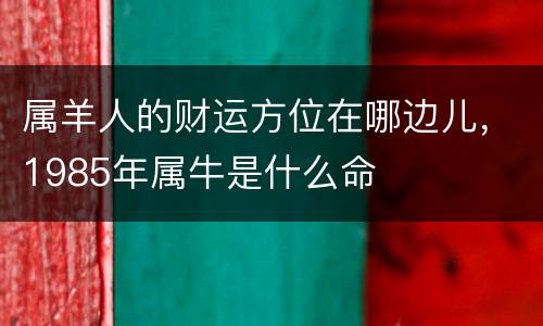 属羊人的财运方位在哪边儿，1985年属牛是什么命