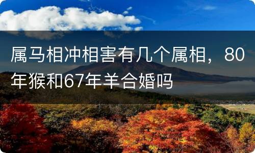 属马相冲相害有几个属相，80年猴和67年羊合婚吗