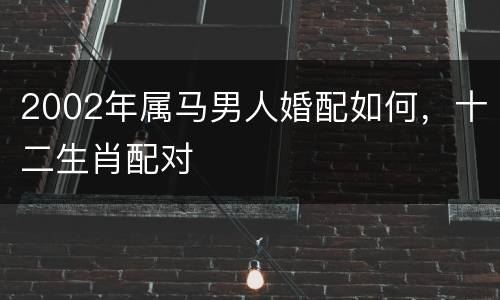 2002年属马男人婚配如何，十二生肖配对