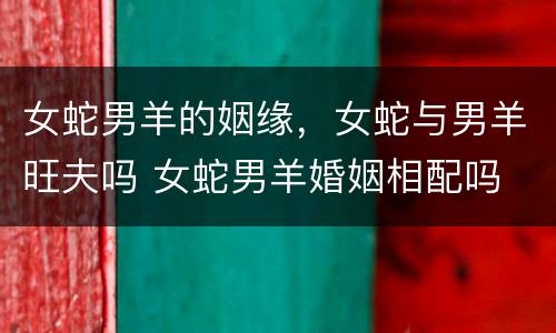 女蛇男羊的姻缘，女蛇与男羊旺夫吗 女蛇男羊婚姻相配吗 适合在一起吗