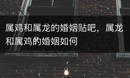 属鸡和属龙的婚姻贴吧，属龙和属鸡的婚姻如何