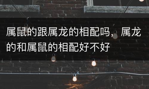 属鼠的跟属龙的相配吗，属龙的和属鼠的相配好不好