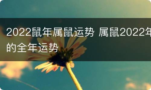 2022鼠年属鼠运势 属鼠2022年的全年运势