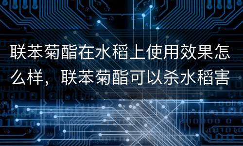 联苯菊酯在水稻上使用效果怎么样，联苯菊酯可以杀水稻害虫吗?