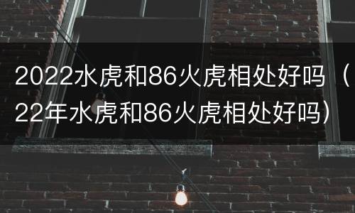 2022水虎和86火虎相处好吗（22年水虎和86火虎相处好吗）