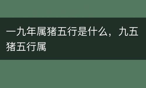 一九年属猪五行是什么，九五猪五行属