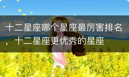 十二星座哪个星座最厉害排名，十二星座更优秀的星座