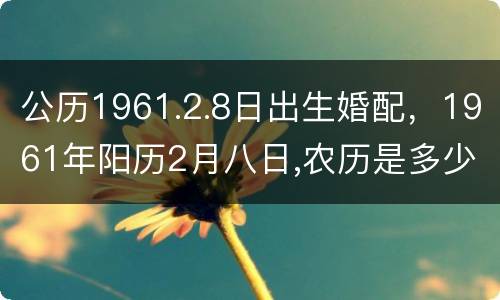 公历1961.2.8日出生婚配，1961年阳历2月八日,农历是多少