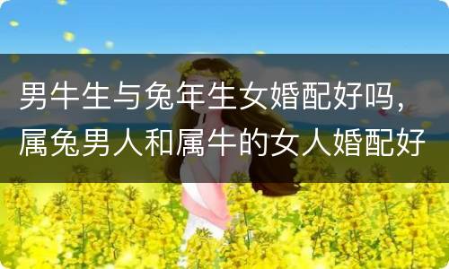 男牛生与兔年生女婚配好吗，属兔男人和属牛的女人婚配好吗?